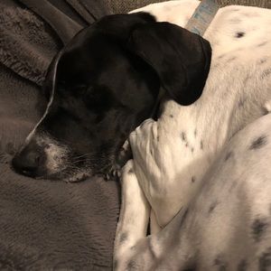 Meet your Posher, Bethany